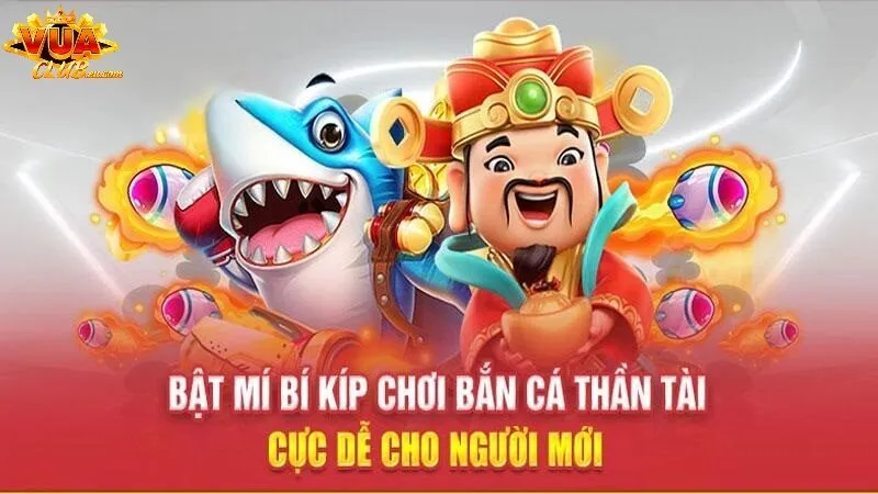 Mẹo săn cá giúp bạn thu về lợi nhuận cao