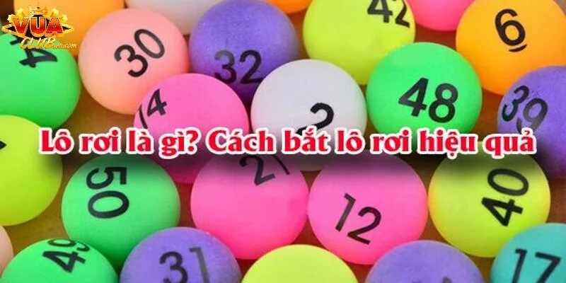 Cách Bắt Lô Rơi Vuaclub Và Kinh Nghiệm Đánh Tăng Cơ Hội Trúng