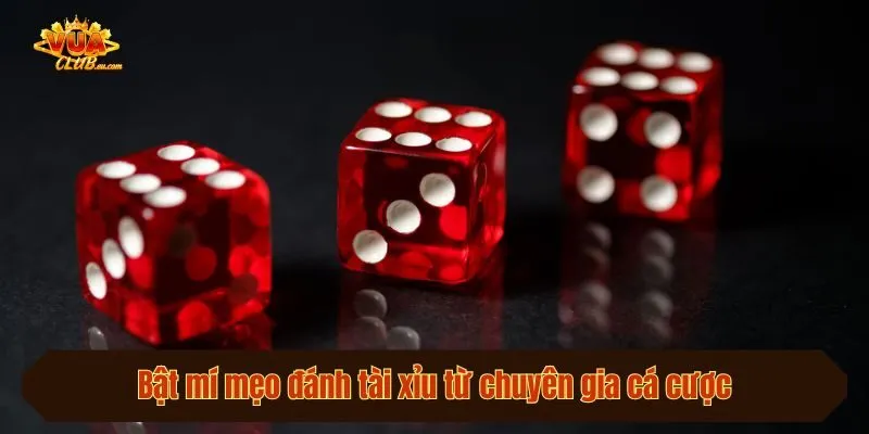 Bật mí mẹo đánh tài xỉu từ chuyên gia cá cược